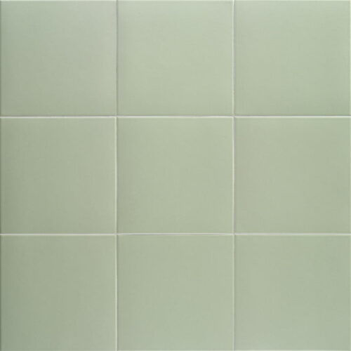 Pav. basil 20×20