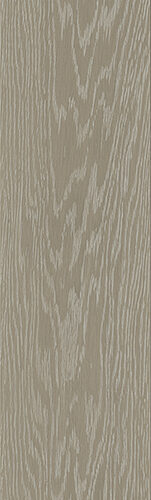 Silver Flamed 20x120